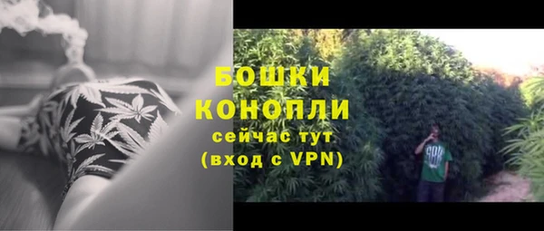 COCAINE Богданович