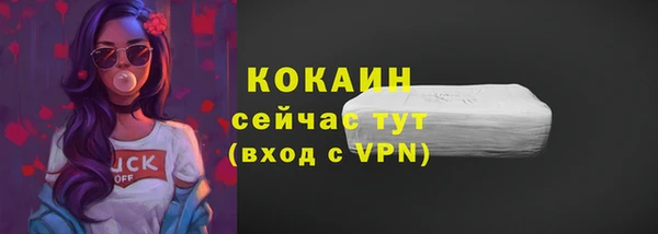мдпв Богородск