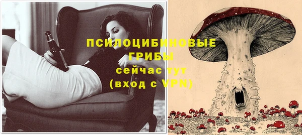 тгк Балабаново
